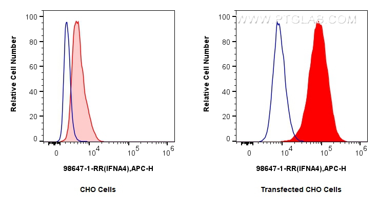FC experiment of Transfected CHO using 98647-1-RR