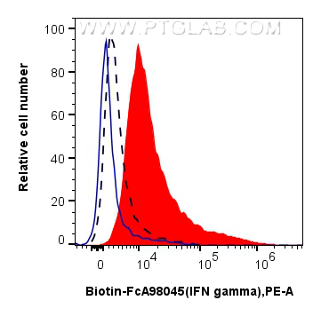 1x10^6 PMA, Ionomycin and Brefeldin A treated C57BL/6 Th1-polarized splenocytes were intracellularly stained with 0.25 ug Biotin Anti-Mouse IFN-gamma Rabbit RecAb (Biotin-FcA98045, Clone: 240262C9) (red) and Streptavidin-PE Conjugate (<a class='green' href='/productredirect?CatalogNo=PE-PF00030' target='_blank'>PE-PF00030</a>), or 0.25 ug FcZero-rAb™ Biotin Rabbit IgG Isotype Control Recombinant Antibody (<a class='green' href='/productredirect?CatalogNo=Biotin-FcA98136' target='_blank'>Biotin-FcA98136</a>, Clone: 240953C9) (blue). 1x10^6 untreated C57BL/6 Th1-polarized splenocytes were intracellularly stained with0.25 ug CoraLite® Plus 647 Anti-Mouse IFN-gamma Rabbit RecAb (CL647-FcA98045, Clone: 240262C9) (black, dashed). Cells were fixed and permeabilized with Intracellular Flow Cytometry Fixation & Permeabilization Buffer Kit (<a class='green' href='/productredirect?CatalogNo=PF00019' target='_blank'>PF00019</a>). FC experiment of C57BL/6 Th1-polarized splenocytes using Biotin-FcA98045