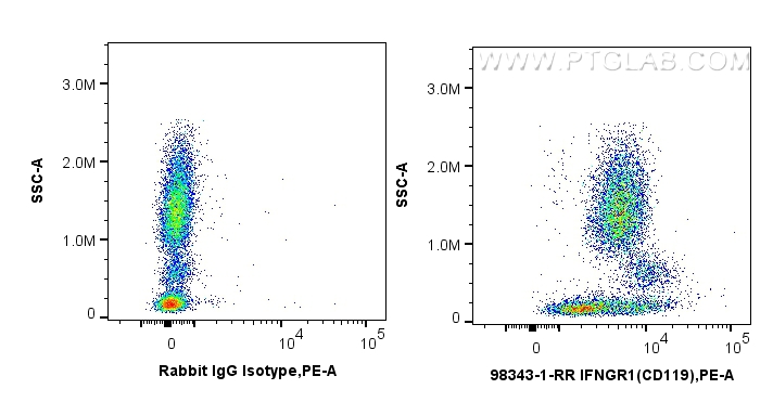 FC experiment of human peripheral blood leukocytes using 98343-1-RR (same clone as 98343-1-PBS)