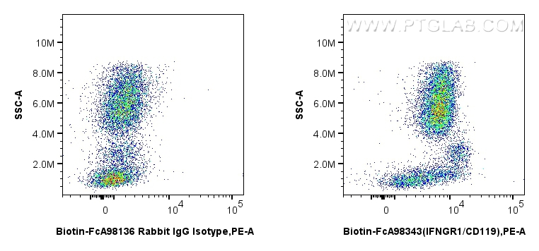 FC experiment of human peripheral blood leukocytes using Biotin-FcA98343 FC experiment of human peripheral blood leukocytes using Biotin-FcA98343