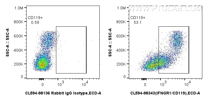 FC experiment of human PBMCs using CL594-98343 FC experiment of human PBMCs using CL594-98343