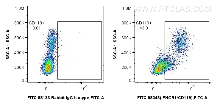 FC experiment of human PBMCs using FITC-98343 FC experiment of human PBMCs using FITC-98343