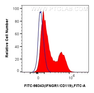 FC experiment of human PBMCs using FITC-98343 FC experiment of human PBMCs using FITC-98343