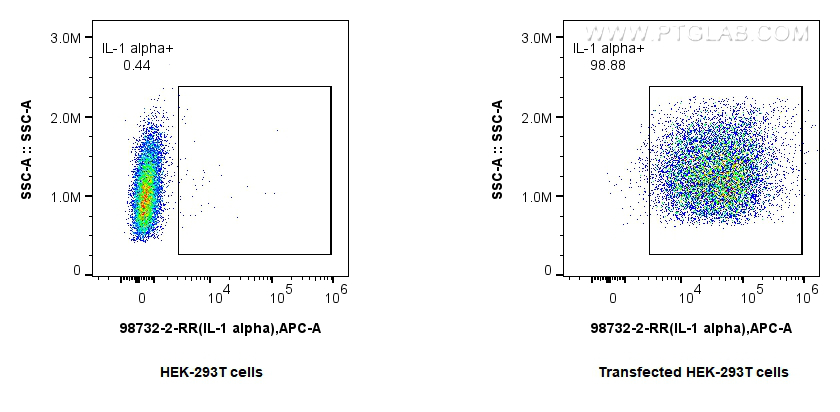 1x10^6 HEK-293T cells or IL-1 alpha transfected HEK-293T cells were stained with 0.25 ug Anti-Rat IL-1 alpha Rabbit RecAb (<a class='green' href='/productredirect?CatalogNo=98732-2-RR' target='_blank'>98732-2-RR</a>, Clone: 251278D7) and APC-Conjugated Goat Anti-Rabbit IgG(H+L). Cells were fixed with 4% PFA and permeabilized with Flow Cytometry Perm Buffer (<a class='green' href='/productredirect?CatalogNo=PF00017' target='_blank'>PF00017</a>). This data was developed using the same antibody clone with 98732-2-PBS in a different storage buffer formulation. FC experiment of Transfected HEK-293T using 98732-2-RR (same clone as 98732-2-PBS)