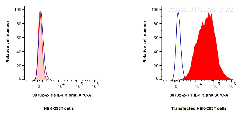 1x10^6 HEK-293T cells or IL-1 alpha transfected HEK-293T cells were stained with 0.25 ug Anti-Rat IL-1 alpha Rabbit RecAb (<a class='green' href='/productredirect?CatalogNo=98732-2-RR' target='_blank'>98732-2-RR</a>, Clone: 251278D7) (red) or 0.25 ug Isotype Control (blue), and APC-Conjugated Goat Anti-Rabbit IgG(H+L). Cells were fixed with 4% PFA and permeabilized with Flow Cytometry Perm Buffer (<a class='green' href='/productredirect?CatalogNo=PF00017' target='_blank'>PF00017</a>). This data was developed using the same antibody clone with 98732-2-PBS in a different storage buffer formulation. FC experiment of Transfected HEK-293T using 98732-2-RR (same clone as 98732-2-PBS)
