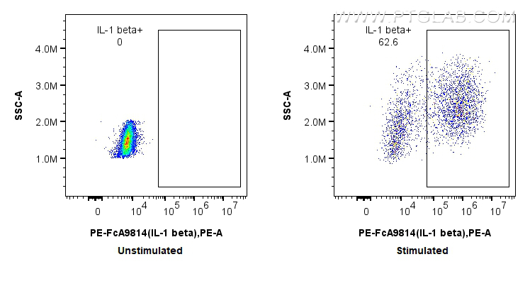 FC experiment of human PBMCs using PE-FcA98142 FC experiment of human PBMCs using PE-FcA98142