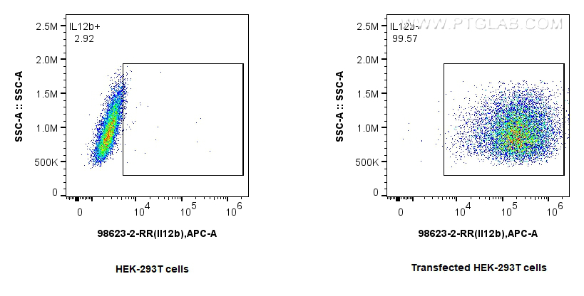 FC experiment of Transfected HEK-293T using 98623-2-RR (same clone as 98623-2-PBS)