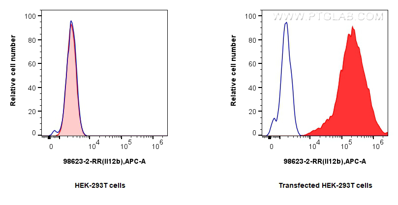 FC experiment of Transfected HEK-293T using 98623-2-RR (same clone as 98623-2-PBS)