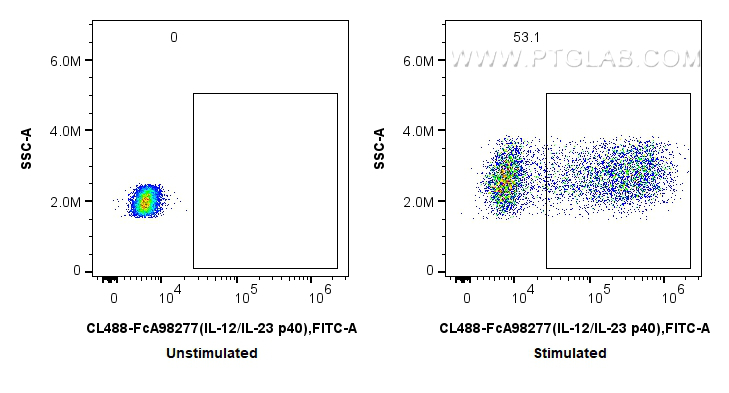 FC experiment of human PBMCs using CL488-FcA98277 FC experiment of human PBMCs using CL488-FcA98277