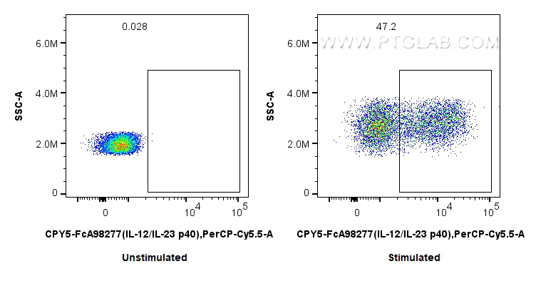 FC experiment of human PBMCs using CPY5-FcA98277 FC experiment of human PBMCs using CPY5-FcA98277
