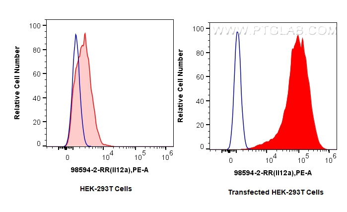 FC experiment of Transfected HEK-293T using 98594-2-RR (same clone as 98594-2-PBS)