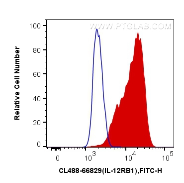 FC experiment of K-562 using CL488-66829
