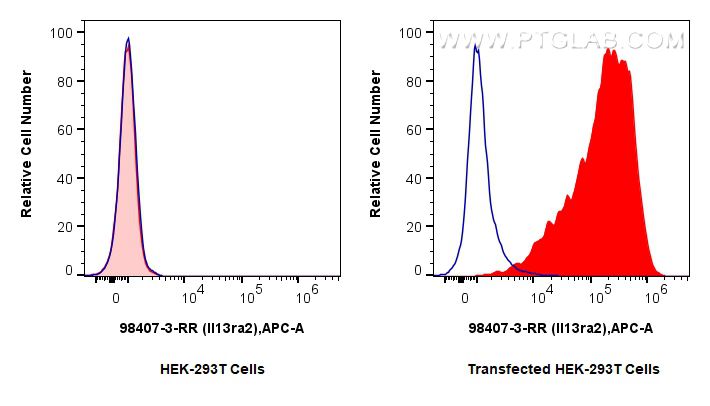 FC experiment of Transfected HEK-293T using 98407-3-RR (same clone as 98407-3-PBS)