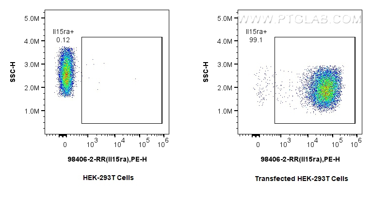 FC experiment of Transfected HEK-293T using 98406-2-RR (same clone as 98406-2-PBS)