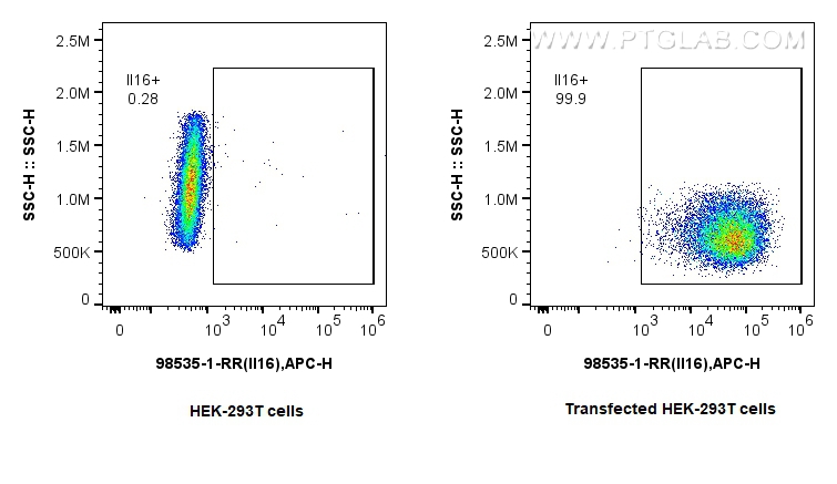 FC experiment of Transfected HEK-293T using 98535-1-RR FC experiment of Transfected HEK-293T using 98535-1-RR