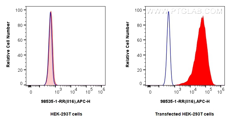 FC experiment of Transfected HEK-293T using 98535-1-RR FC experiment of Transfected HEK-293T using 98535-1-RR