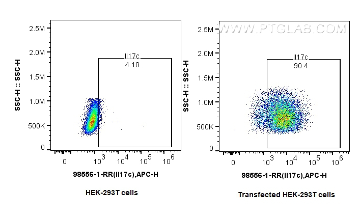 FC experiment of Transfected HEK-293T using 98556-1-RR FC experiment of Transfected HEK-293T using 98556-1-RR