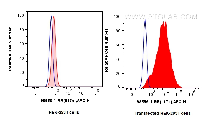 FC experiment of Transfected HEK-293T using 98556-1-RR FC experiment of Transfected HEK-293T using 98556-1-RR