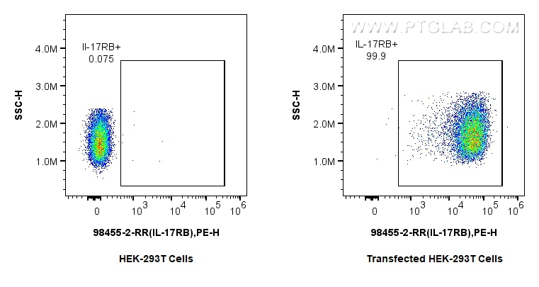 FC experiment of Transfected HEK-293T using 98455-2-RR (same clone as 98455-2-PBS)