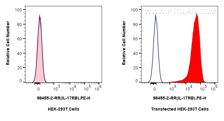 FC experiment of Transfected HEK-293T using 98455-2-RR (same clone as 98455-2-PBS)