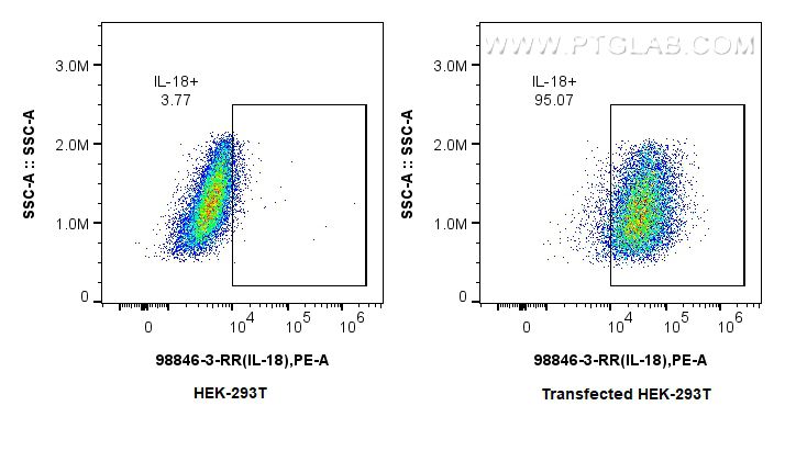 FC experiment of Transfected HEK-293T using 98846-3-RR (same clone as 98846-3-PBS)
