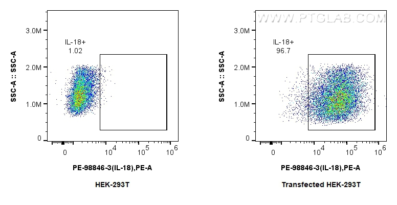 FC experiment of Transfected HEK-293T using PE-98846-3 FC experiment of Transfected HEK-293T using PE-98846-3