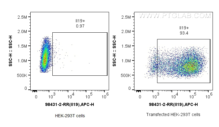 FC experiment of Transfected HEK-293T using 98431-2-RR FC experiment of Transfected HEK-293T using 98431-2-RR