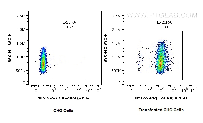 FC experiment of Transfected CHO using 98512-2-RR FC experiment of Transfected CHO using 98512-2-RR