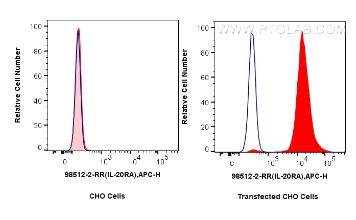 FC experiment of Transfected CHO using 98512-2-RR FC experiment of Transfected CHO using 98512-2-RR
