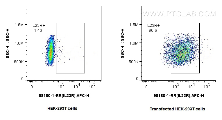 FC experiment of Transfected HEK-293T using 98180-1-RR