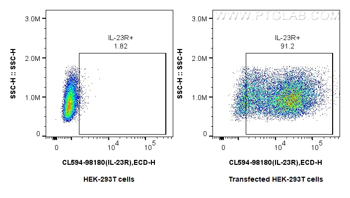 FC experiment of Transfected HEK-293T using CL594-98180