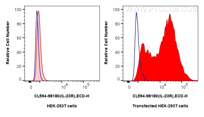 FC experiment of Transfected HEK-293T using CL594-98180