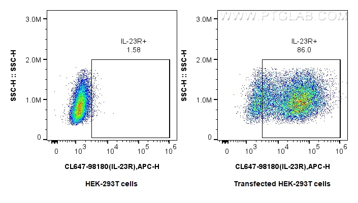 FC experiment of Transfected HEK-293T using CL647-98180