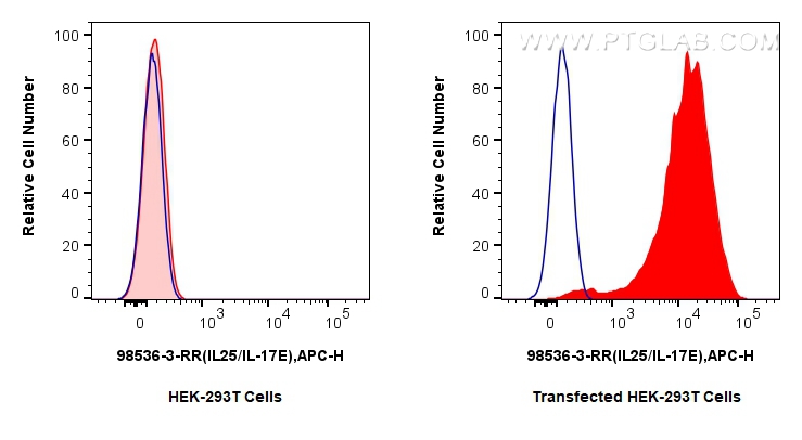 1x10^6 HEK-293T cells or IL-25/IL-17E transfected HEK-293T cells were intracellularly stained with 0.25 ug Anti-Mouse IL-25/IL-17E Rabbit RecAb (98536-3-RR, Clone: 250033D3) (red) or 0.25 ug Rabbit IgG Isotype Control RecAb (<a class='green' href='/productredirect?CatalogNo=98136-1-RR' target='_blank'>98136-1-RR</a>, Clone: 240953C9) (blue), and Multi-rAb CoraLite ® Plus 647-Goat Anti-Rabbit Recombinant Secondary Antibody (H+L) (RGAR005). Cells were fixed with 4% PFA and permeabilized with Flow Cytometry Perm Buffer. FC experiment of Transfected HEK-293T using 98536-3-RR