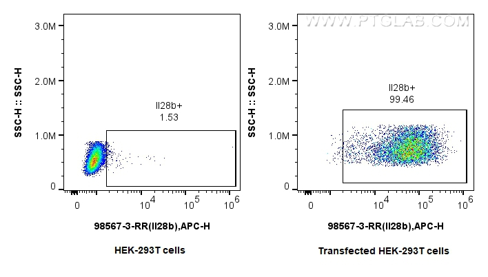 FC experiment of Transfected HEK-293T using 98567-3-RR (same clone as 98567-3-PBS) FC experiment of Transfected HEK-293T using 98567-3-RR (same clone as 98567-3-PBS)