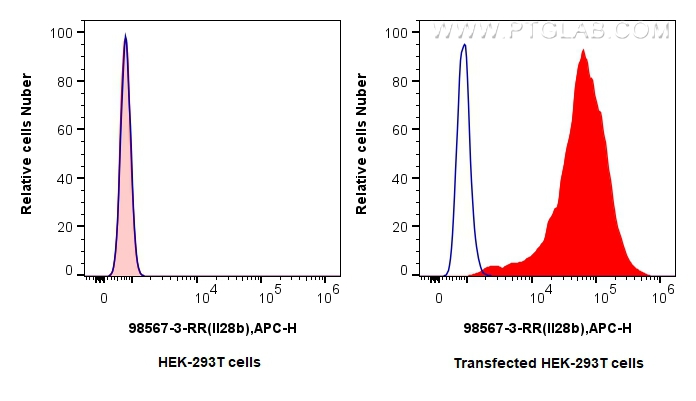 FC experiment of Transfected HEK-293T using 98567-3-RR (same clone as 98567-3-PBS) FC experiment of Transfected HEK-293T using 98567-3-RR (same clone as 98567-3-PBS)