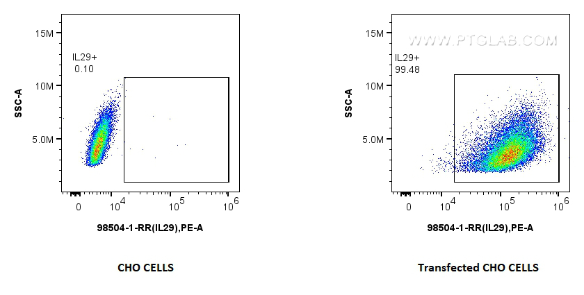 FC experiment of Transfected CHO using 98504-1-RR