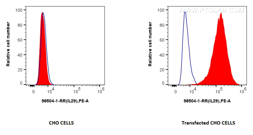 FC experiment of Transfected CHO using 98504-1-RR