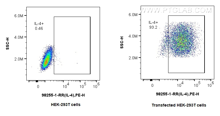 FC experiment of Transfected HEK-293T using 98255-1-RR