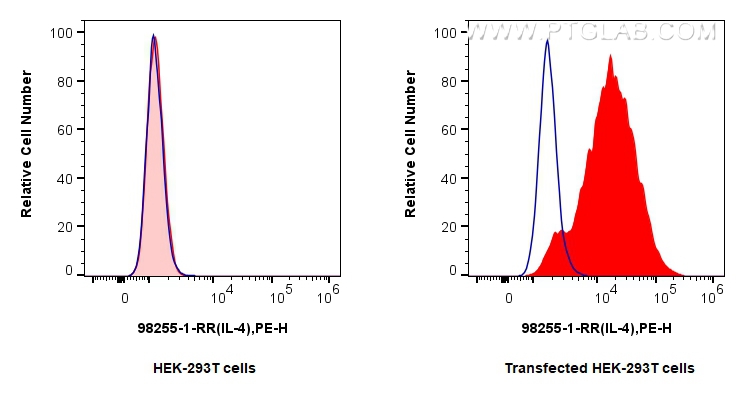 FC experiment of Transfected HEK-293T using 98255-1-RR