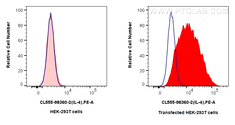 FC experiment of Transfected HEK-293T using CL555-98360-2