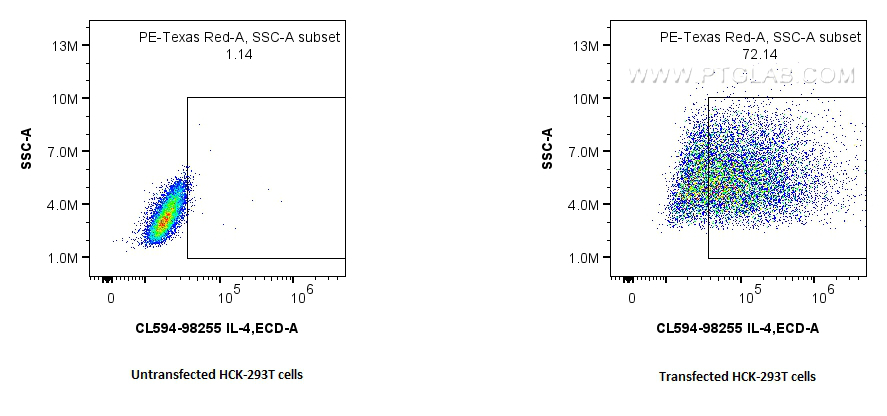 FC experiment of Transfected HEK-293T using CL594-98255