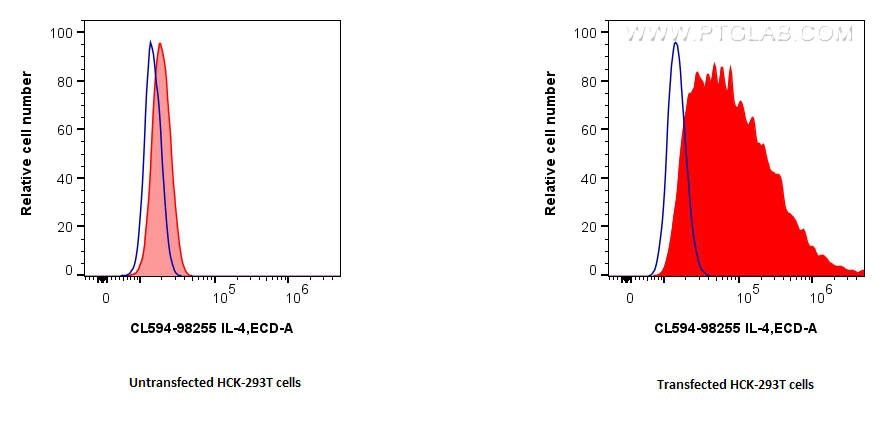FC experiment of Transfected HEK-293T using CL594-98255