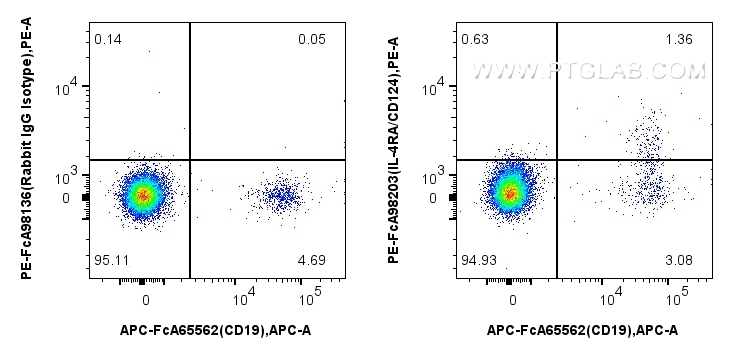 FC experiment of human PBMCs using PE-FcA98203 FC experiment of human PBMCs using PE-FcA98203