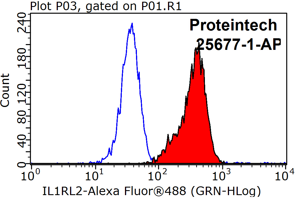 FC experiment of K-562 using 25677-1-AP