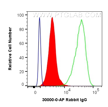 Rabbit IgG control Polyclonal antibody