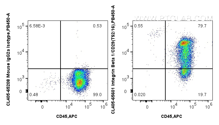 1x10^6 human PBMCs were surface stained with APC Anti-Human CD45, and 5 ul CoraLite® Plus 405 Anti-Human Integrin Beta 1/CD29 (TS2/16) Mouse IgG2a RecAb (CL405-65601, Clone:TS2/16) or CoraLite® Plus 405 Mouse IgG2a Isotype Control (C1.18.4) (<a class='green' href='/productredirect?CatalogNo=CL405-65208' target='_blank'>CL405-65208</a>, Clone: C1.18.4). Cells were incubated with FC Receptor Block prior to staining. Cells were not fixed. FC experiment of human PBMCs using CL405-65601