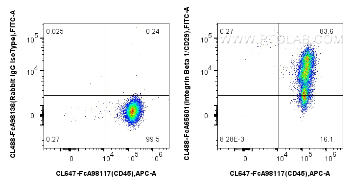 FC experiment of human PBMCs using CL488-FcA65601 FC experiment of human PBMCs using CL488-FcA65601