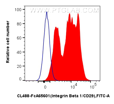 FC experiment of human PBMCs using CL488-FcA65601 FC experiment of human PBMCs using CL488-FcA65601