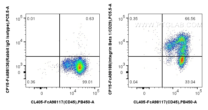 1x10^6 human PBMCs were surface stained with FcZero-rAb™ CoraLite® Plus 405 Anti-Human CD45, and 5 ul PerCP-Cyanine5.5 Anti-Human Integrin Beta 1/CD29 Rabbit RecAb (CPY5-FcA98188, Clone: 241685C10) or FcZero-rAb™ PerCP-Cyanine5.5 Rabbit IgG Isotype Control Recombinant Antibody (CPY5-FcA98136, Clone: 240953C9). Cells were incubated with MonoZero™ Monocytes blocking Reagent (<a class='green' href='/productredirect?CatalogNo=PF00020' target='_blank'>PF00020</a>) prior to staining. Cells were not fixed. FC experiment of human PBMCs using CPY5-FcA98188